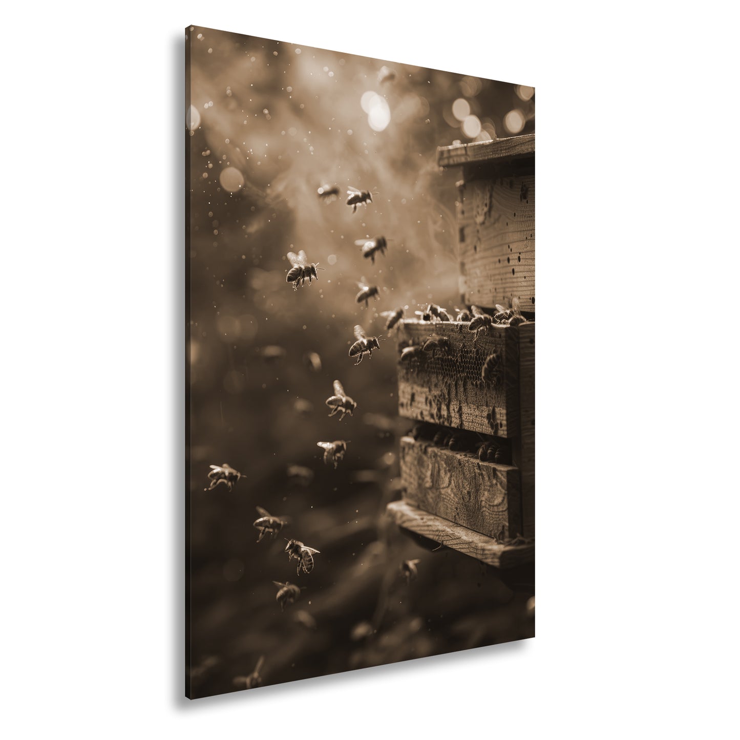 Hauptbild Sepia Standart