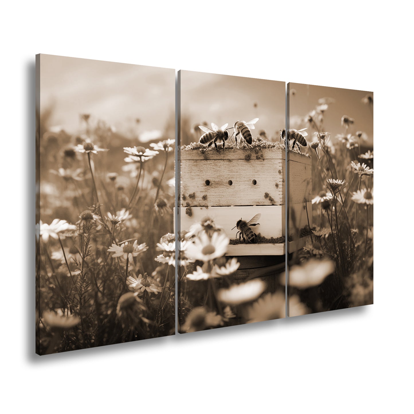 Hauptbild Sepia 3 Teilig