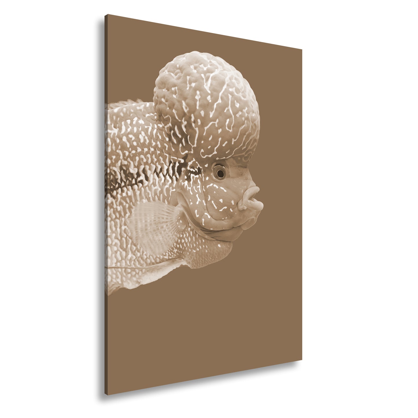 Hauptbild Sepia Standart