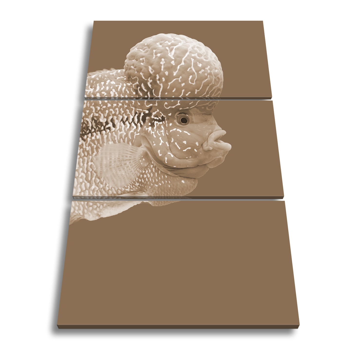Hauptbild Sepia 3 Teilig