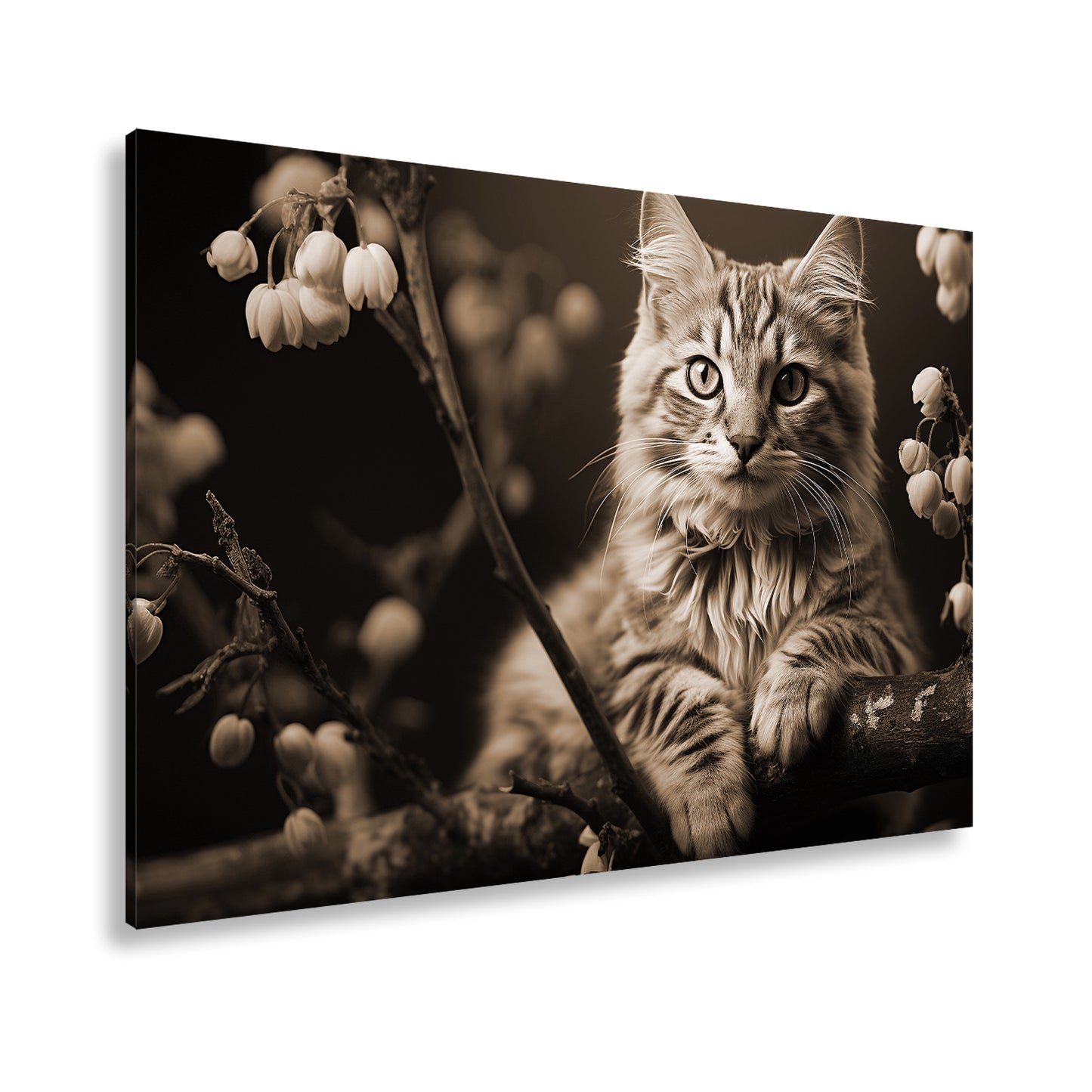 Hauptbild Sepia Standart