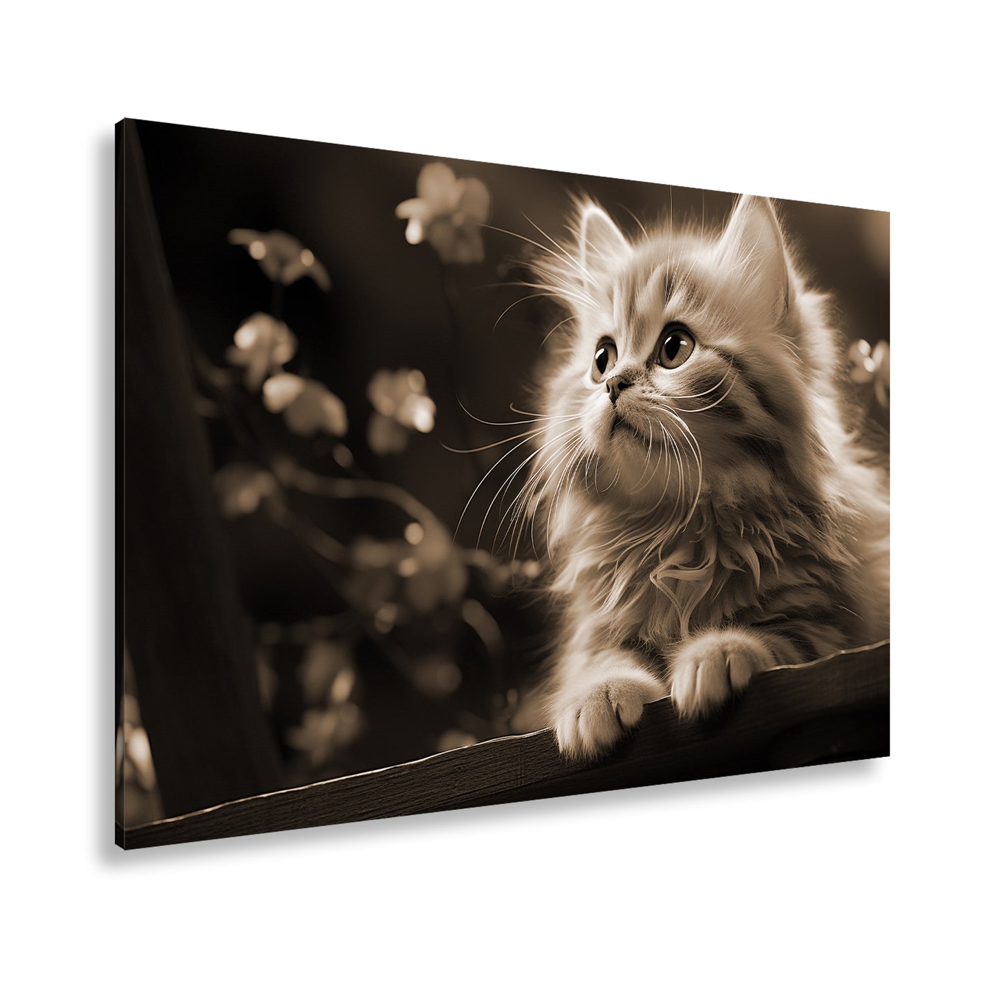 Hauptbild Sepia Standart