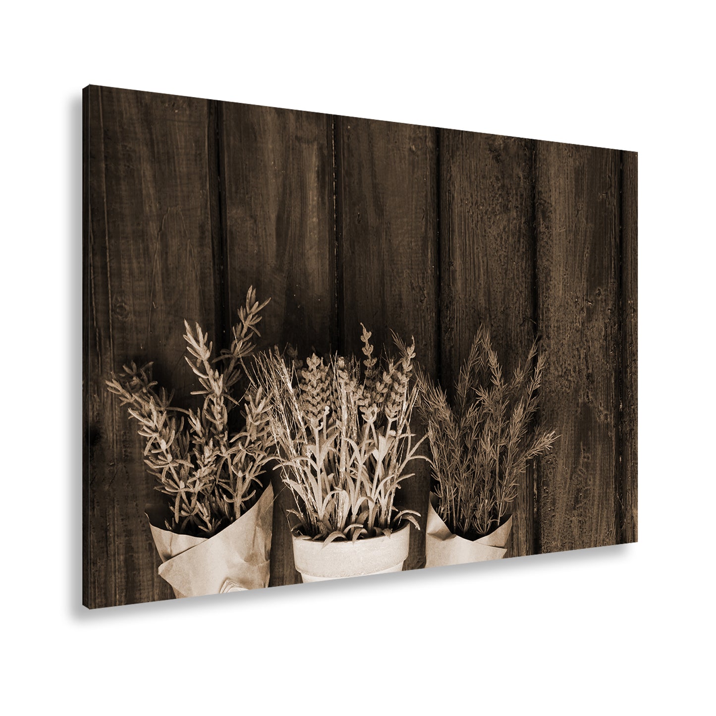 Hauptbild Sepia Standart