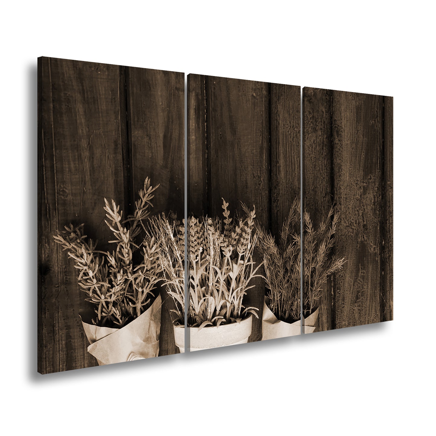 Hauptbild Sepia 3 Teilig