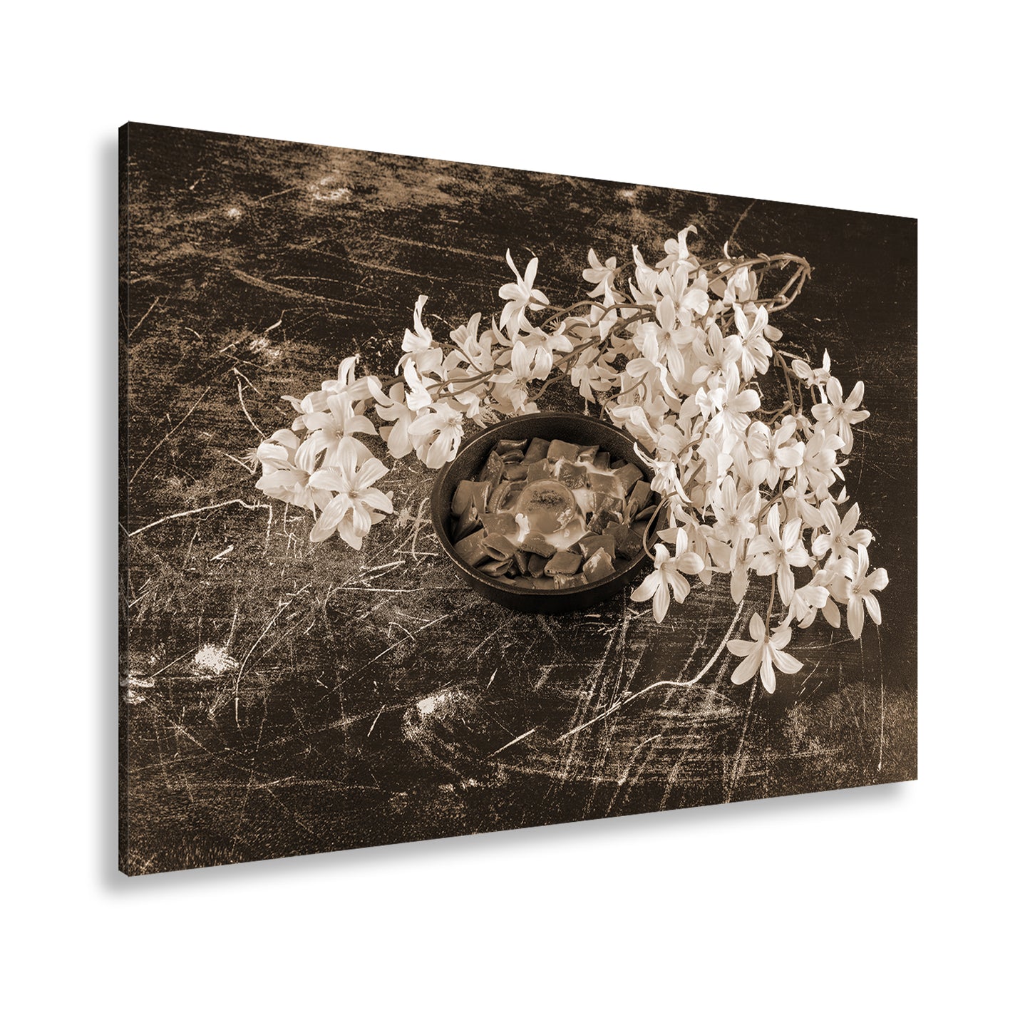 Hauptbild Sepia Standart