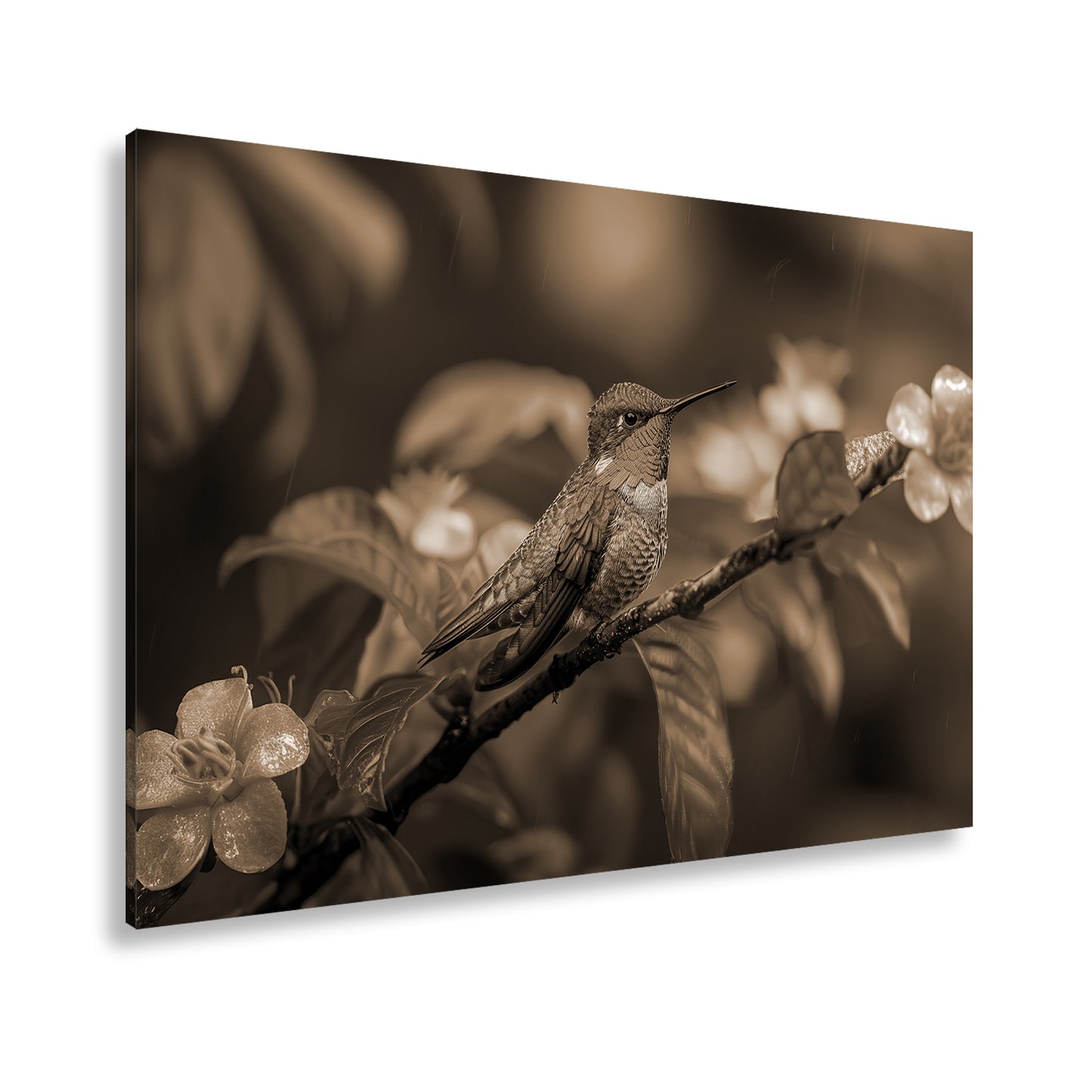 Hauptbild Sepia Standart