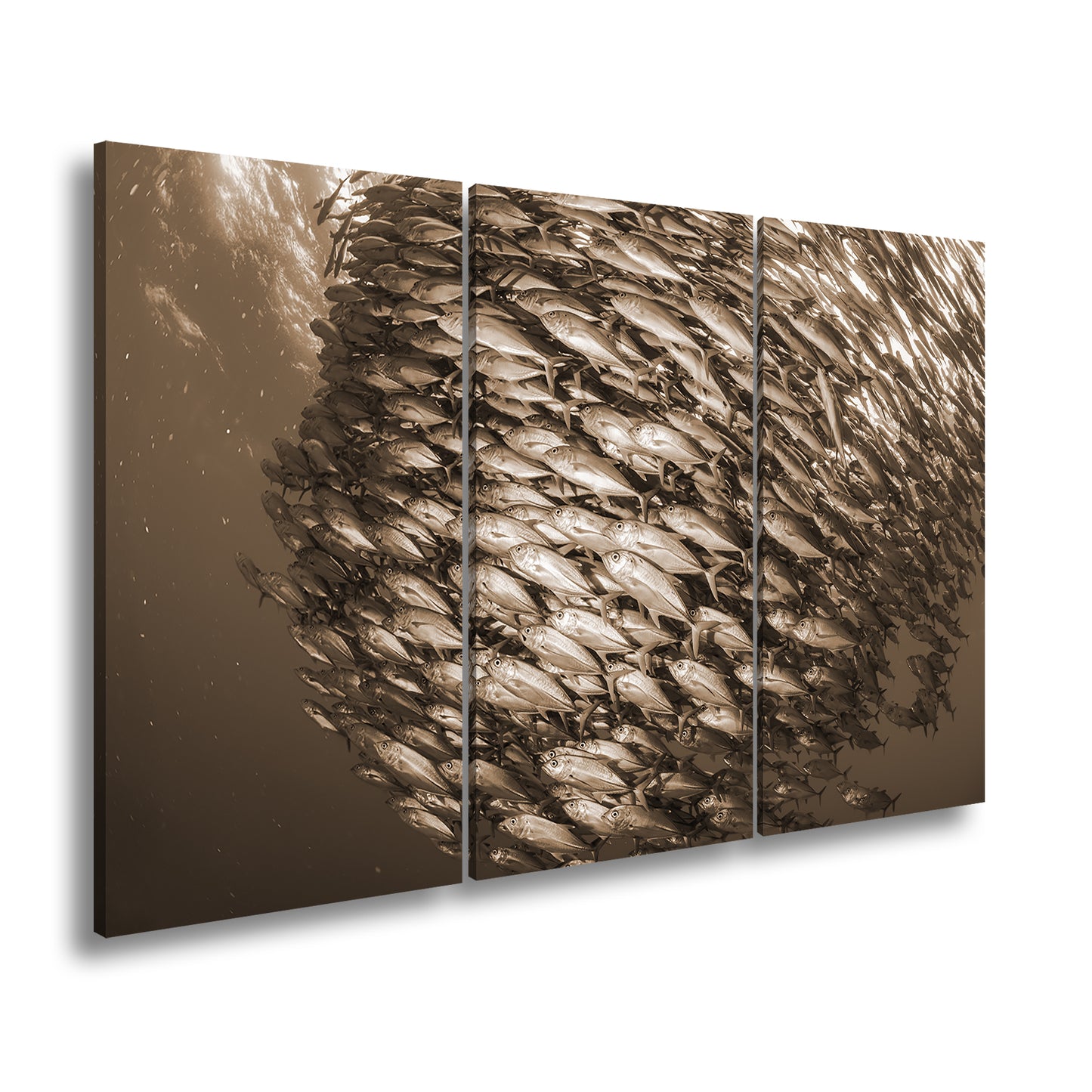 Hauptbild Sepia 3 Teilig