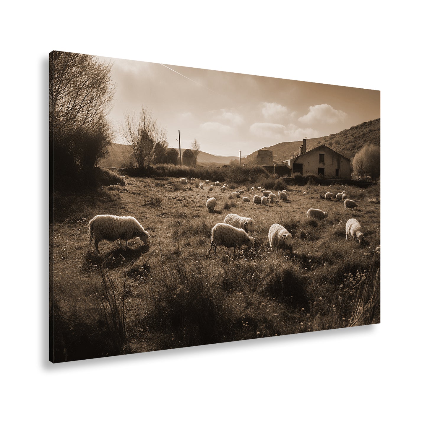 Hauptbild Sepia Standart