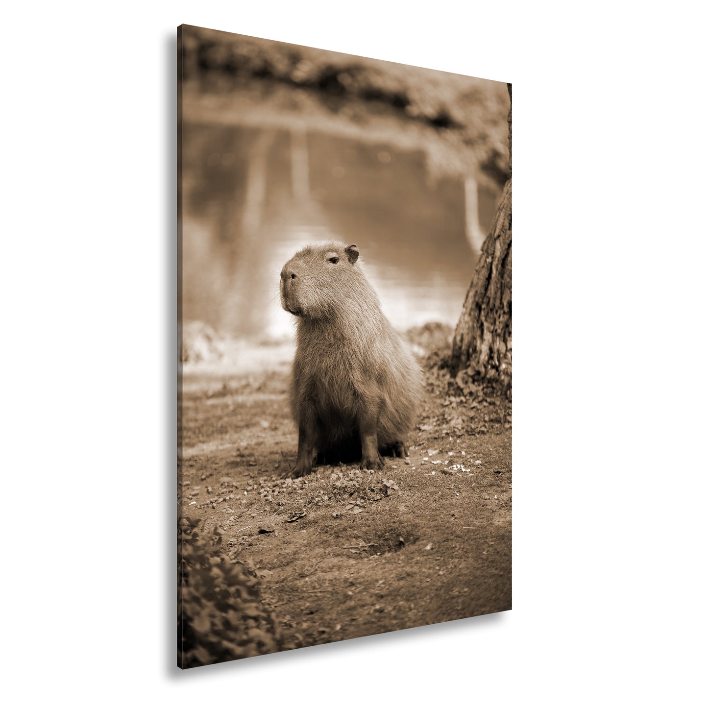 Hauptbild Sepia Standart