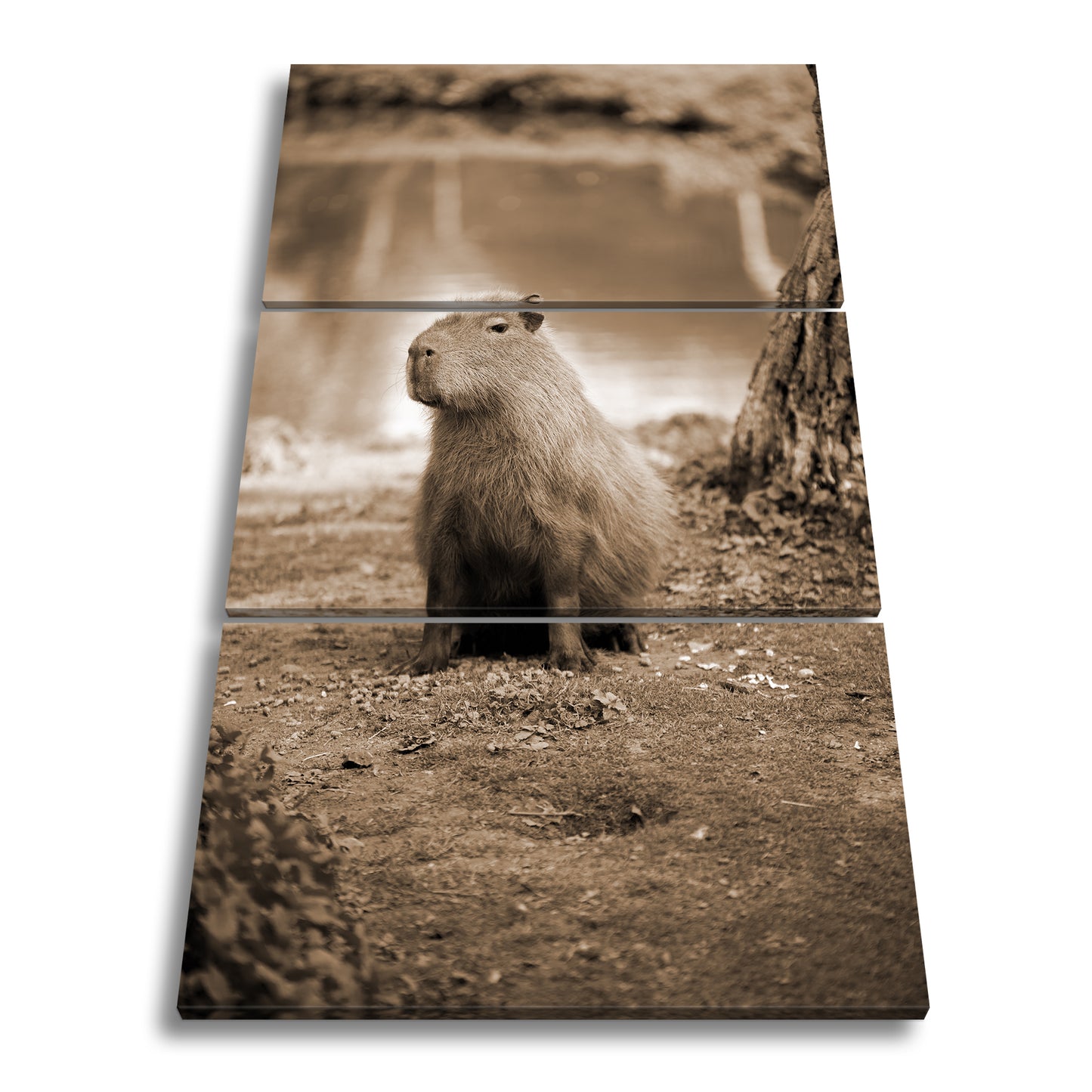 Hauptbild Sepia 3 Teilig