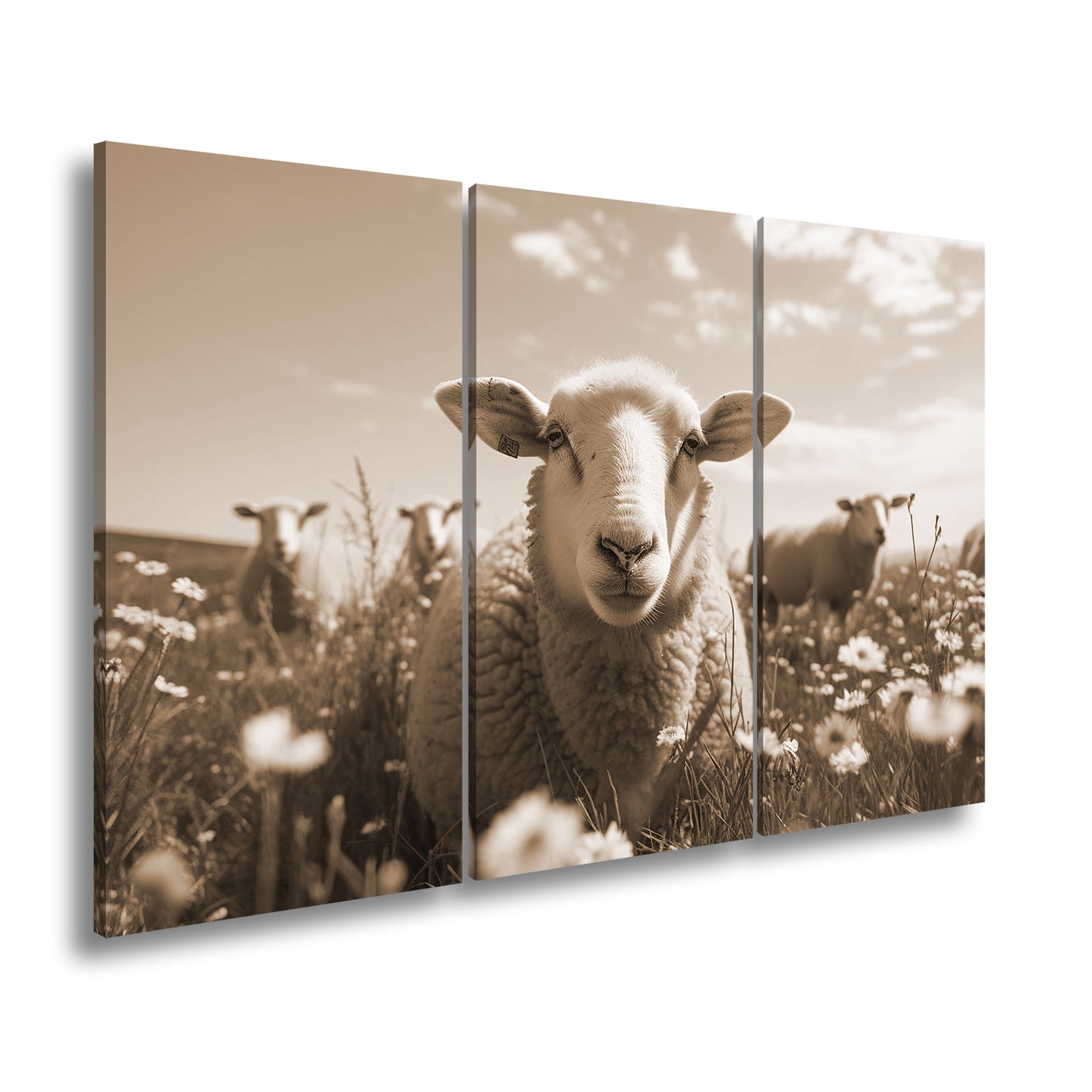 Hauptbild Sepia 3 Teilig