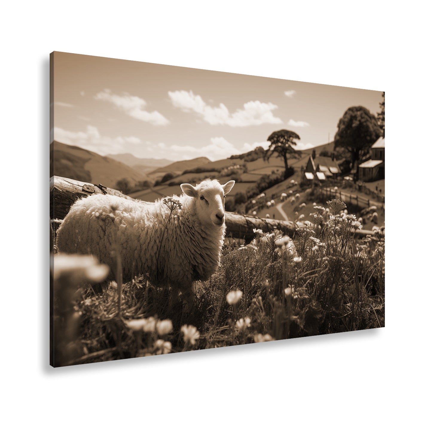 Hauptbild Sepia Standart