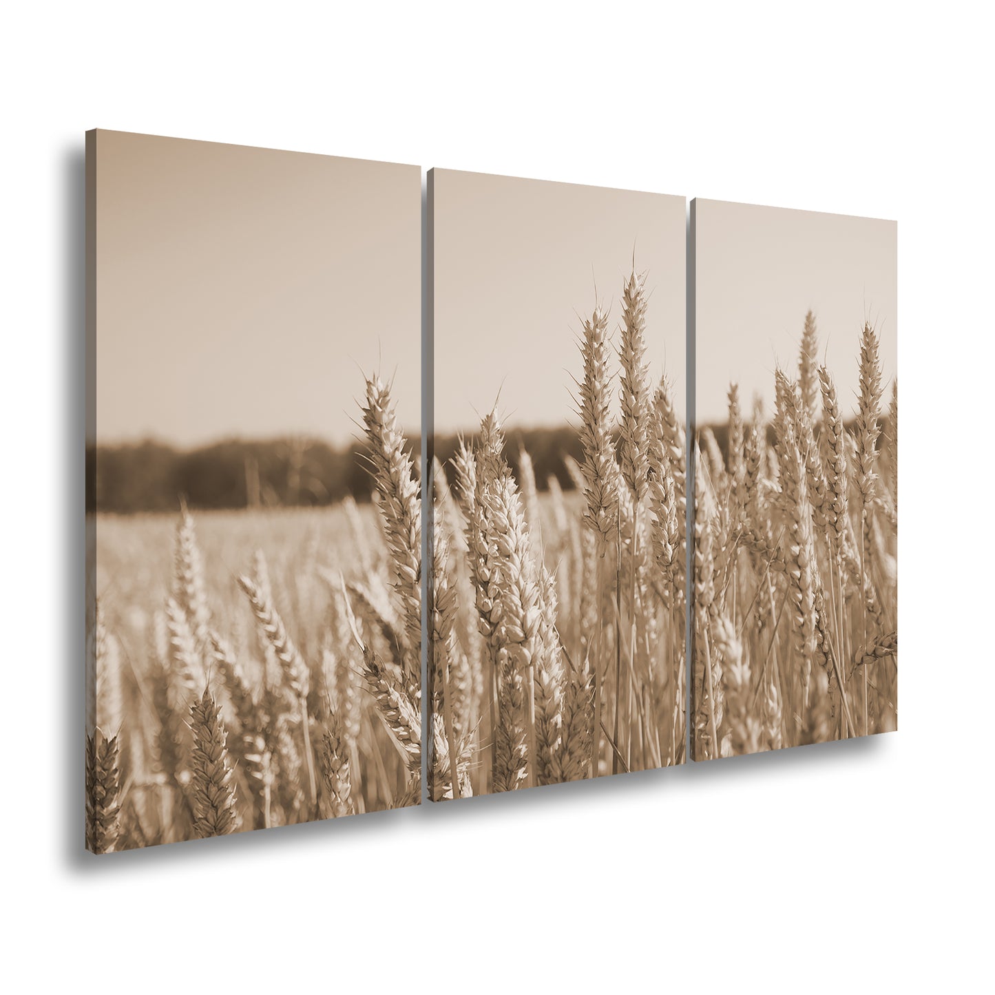 Hauptbild Sepia 3 Teilig