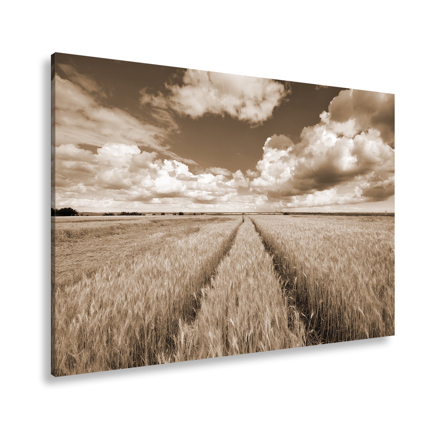 Hauptbild Sepia Standart