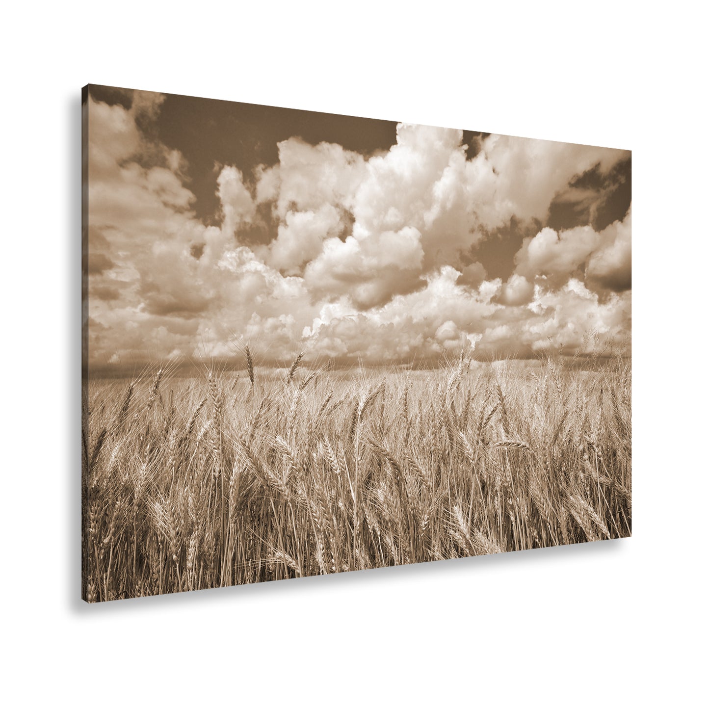 Hauptbild Sepia Standart