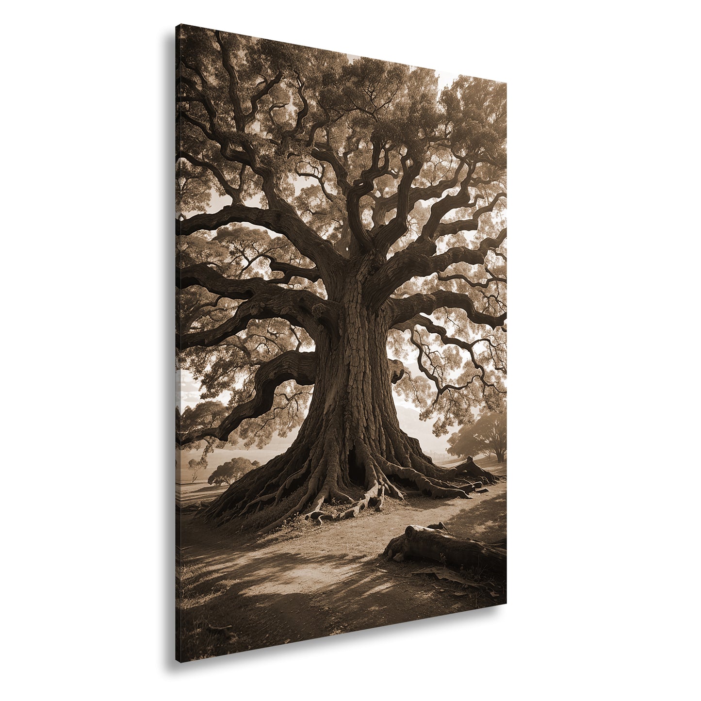 Hauptbild Sepia Standart