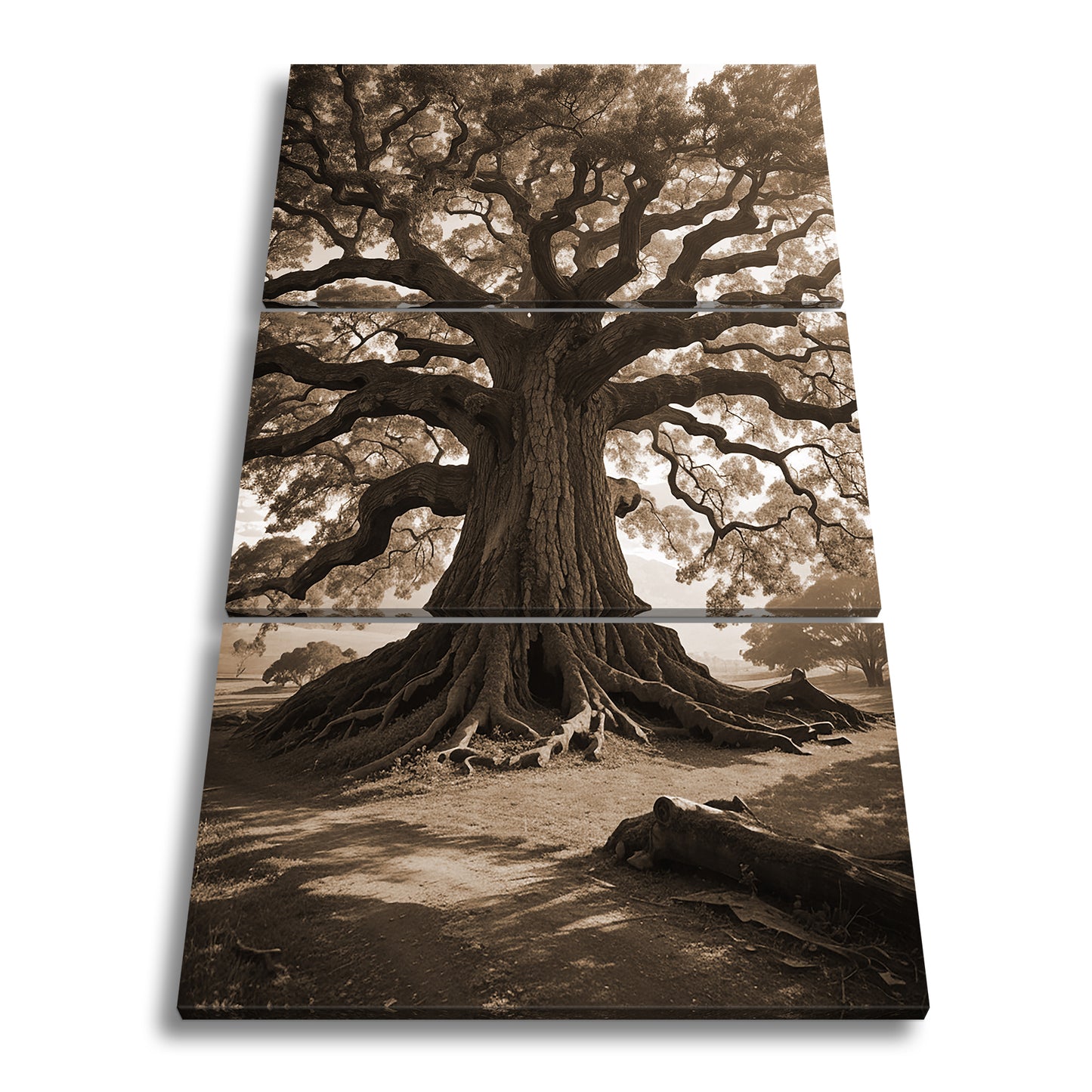 Hauptbild Sepia 3 Teilig