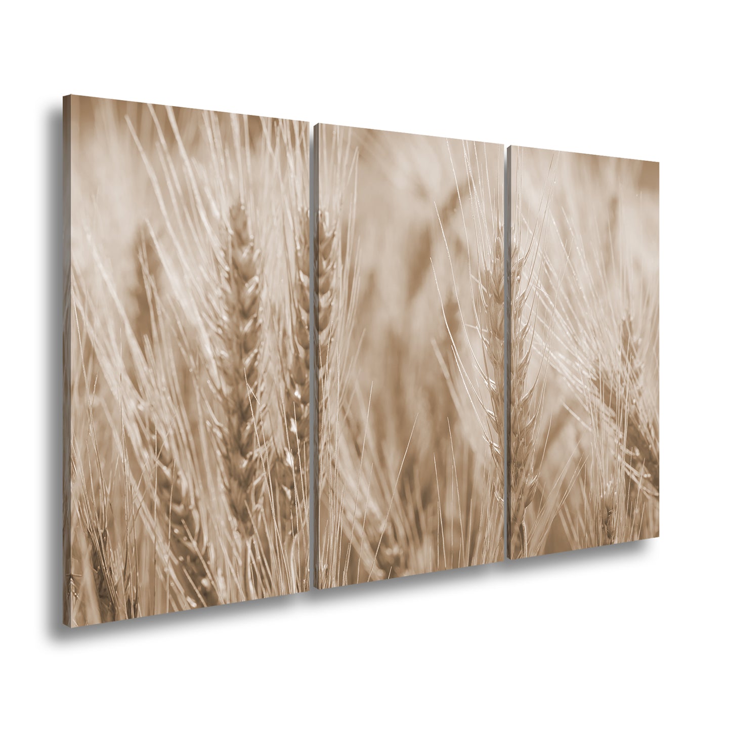 Hauptbild Sepia 3 Teilig