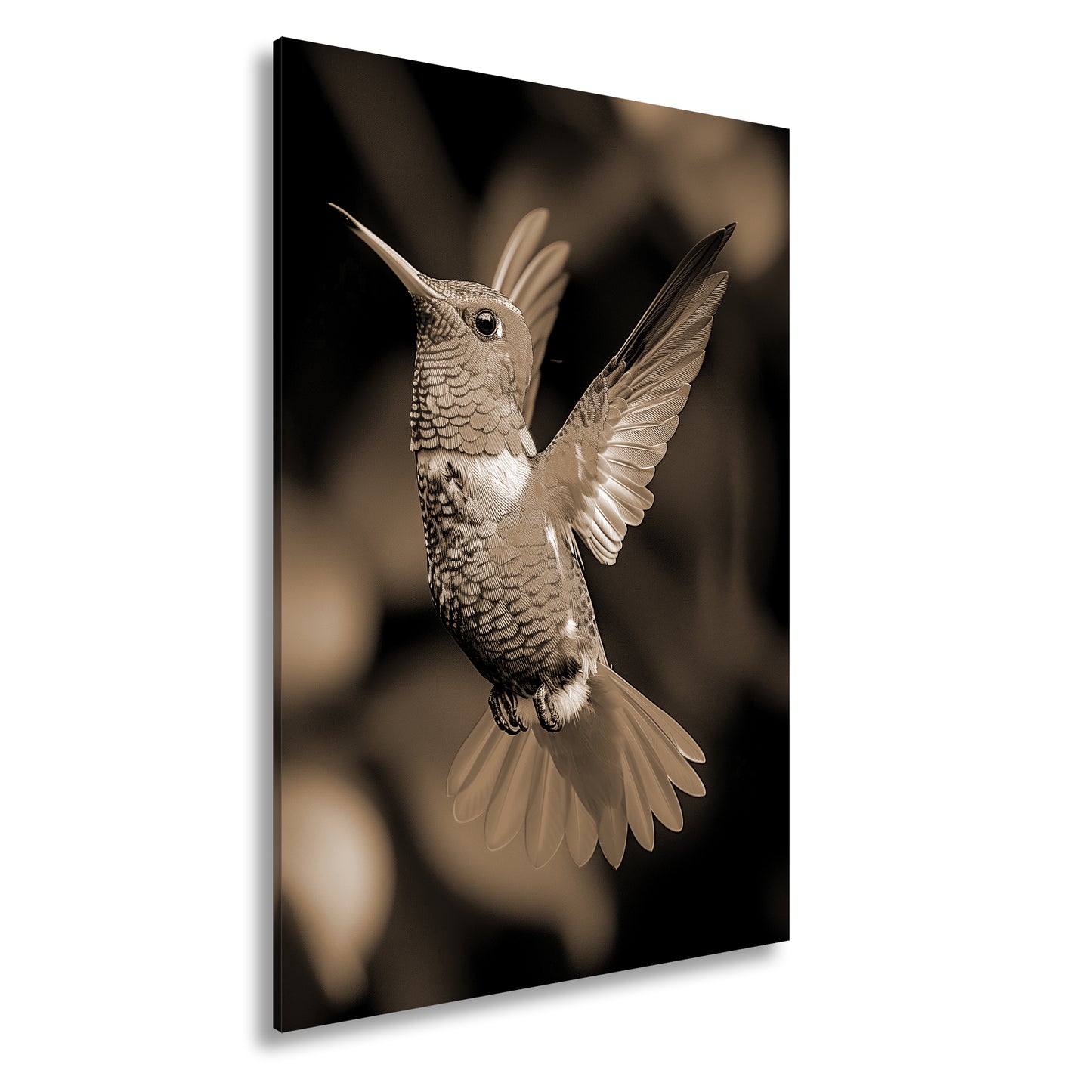 Hauptbild Sepia Standart