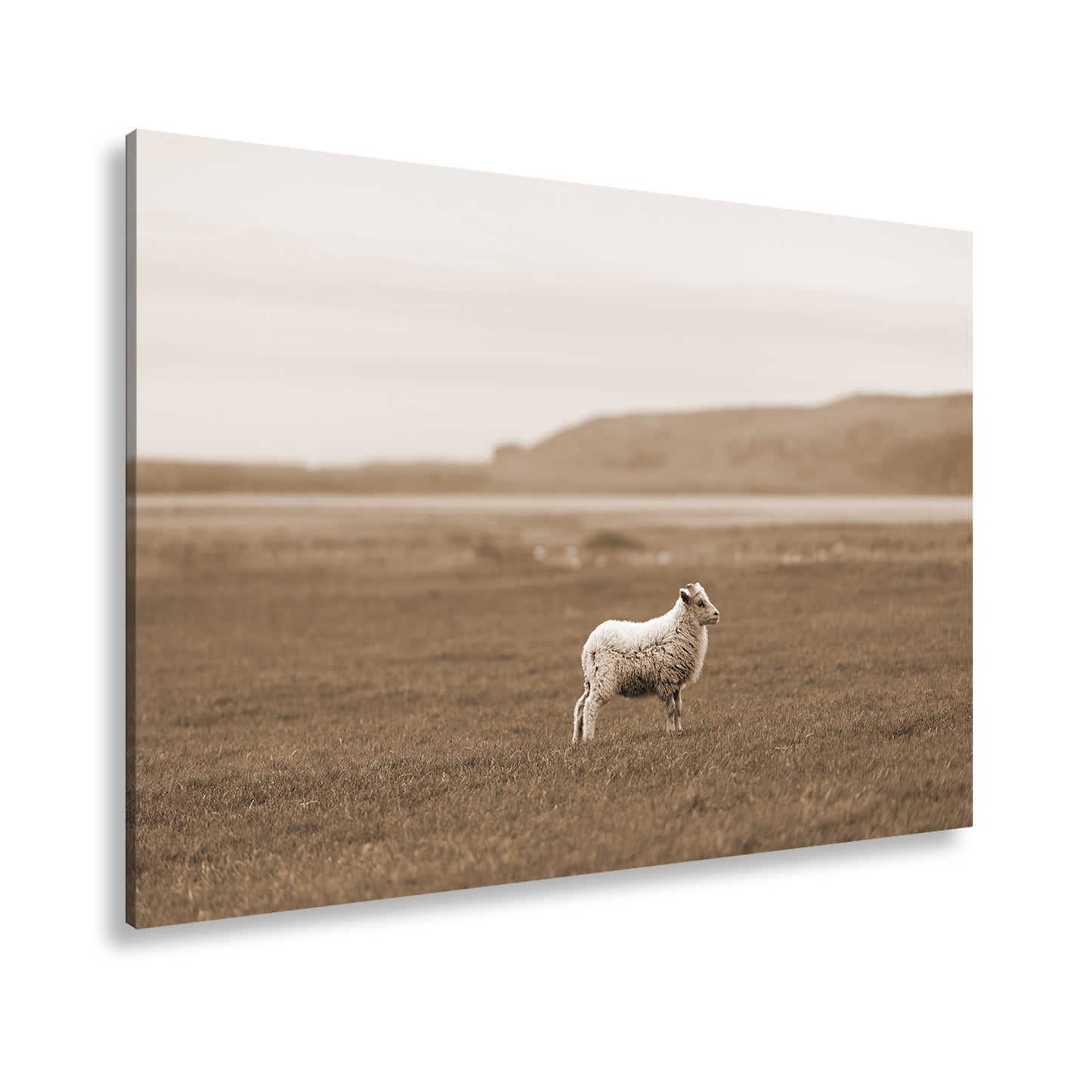 Hauptbild Sepia Standart
