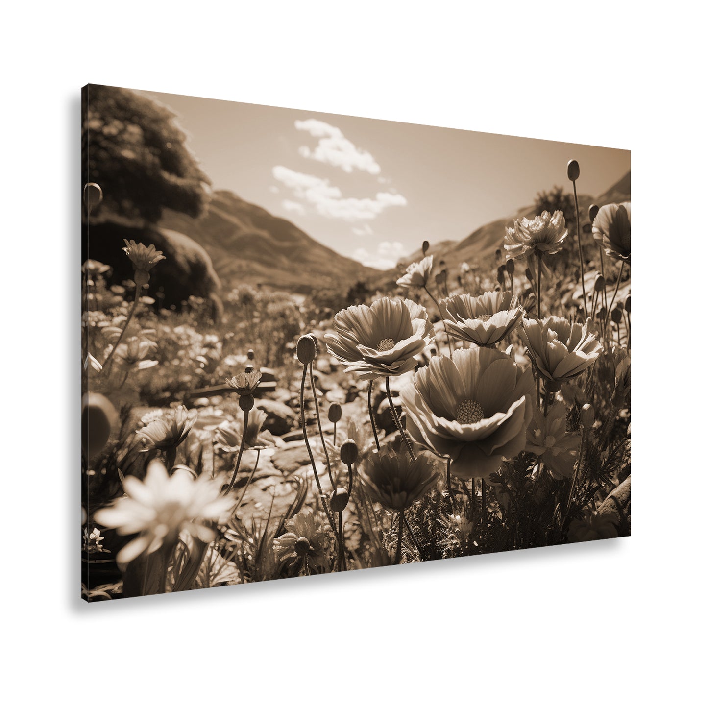 Hauptbild Sepia Standart