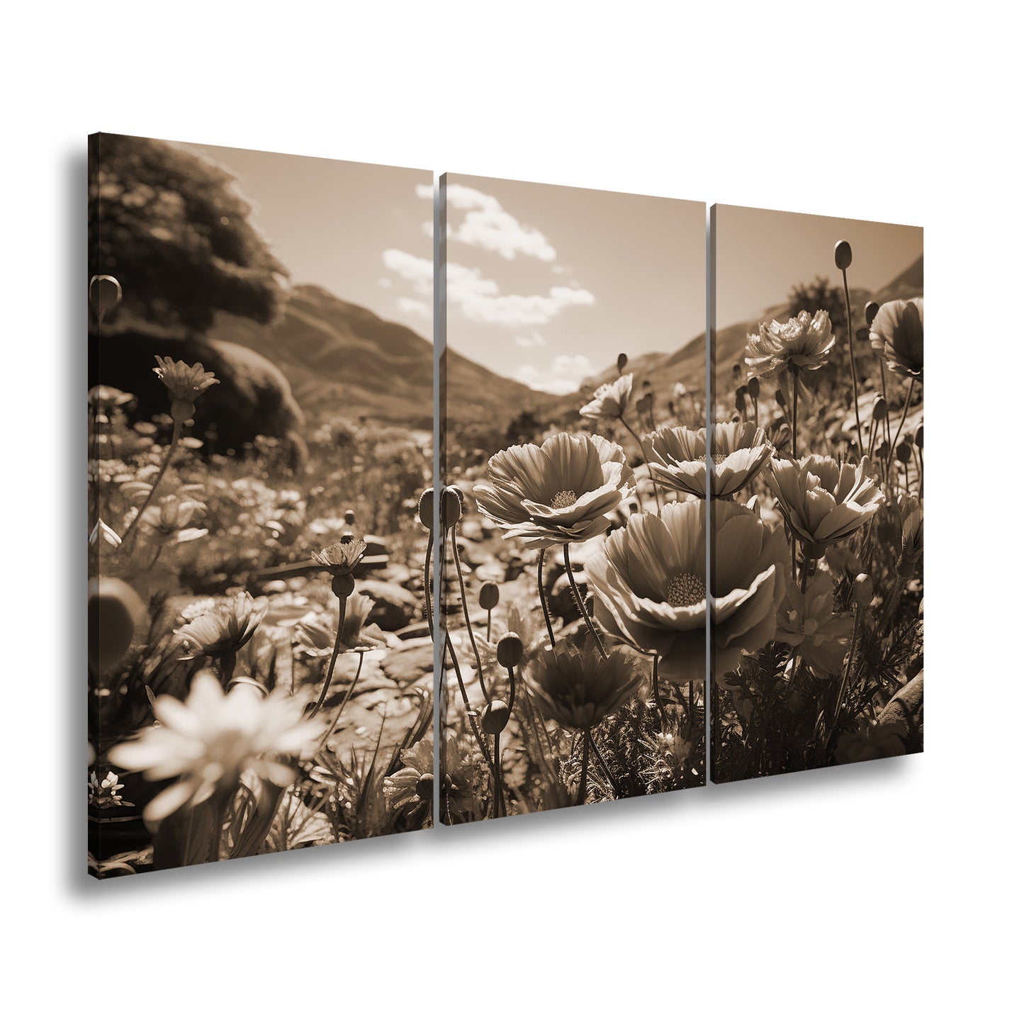 Hauptbild Sepia 3 Teilig