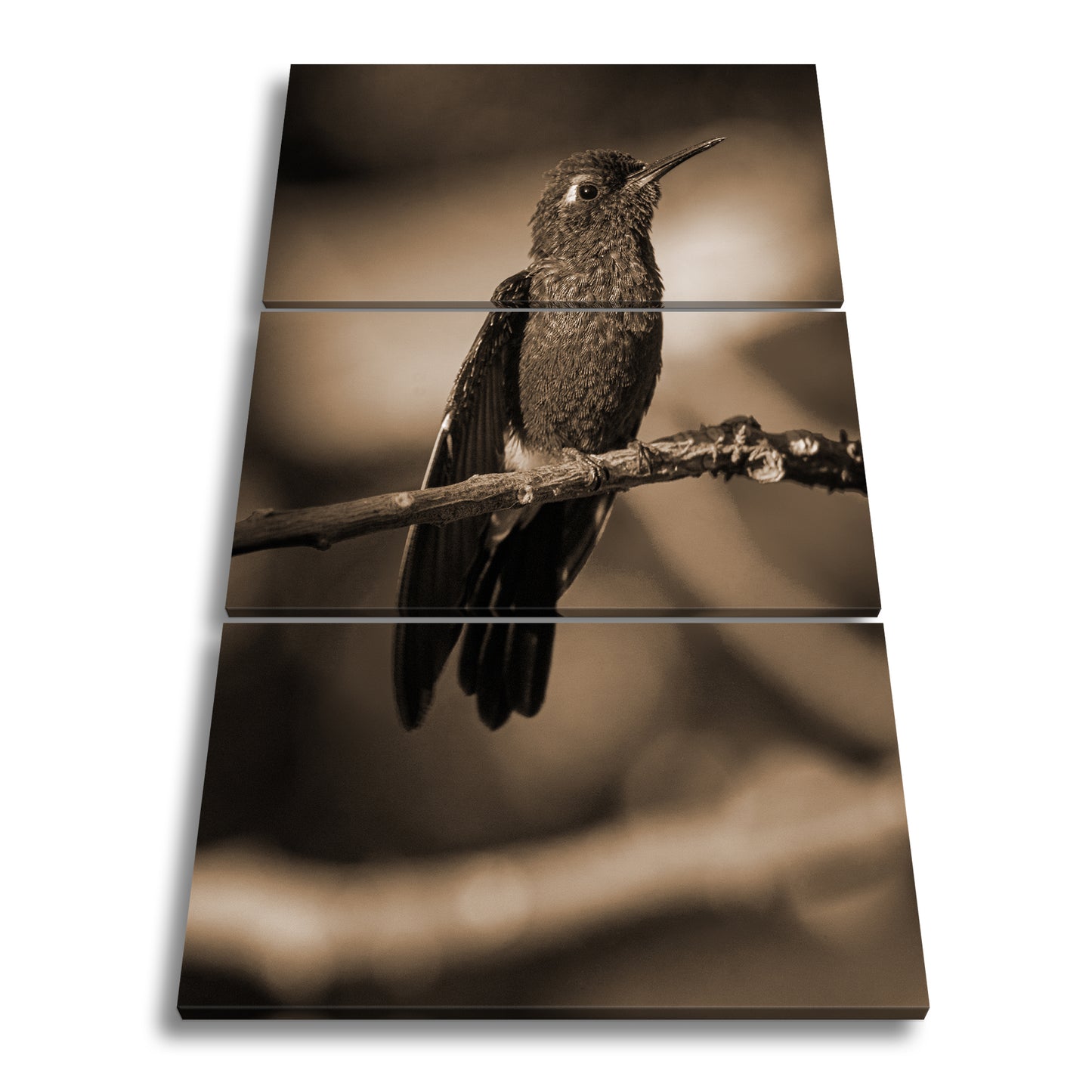 Hauptbild Sepia 3 Teilig