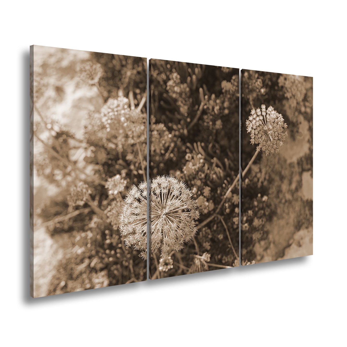 Hauptbild Sepia 3 Teilig