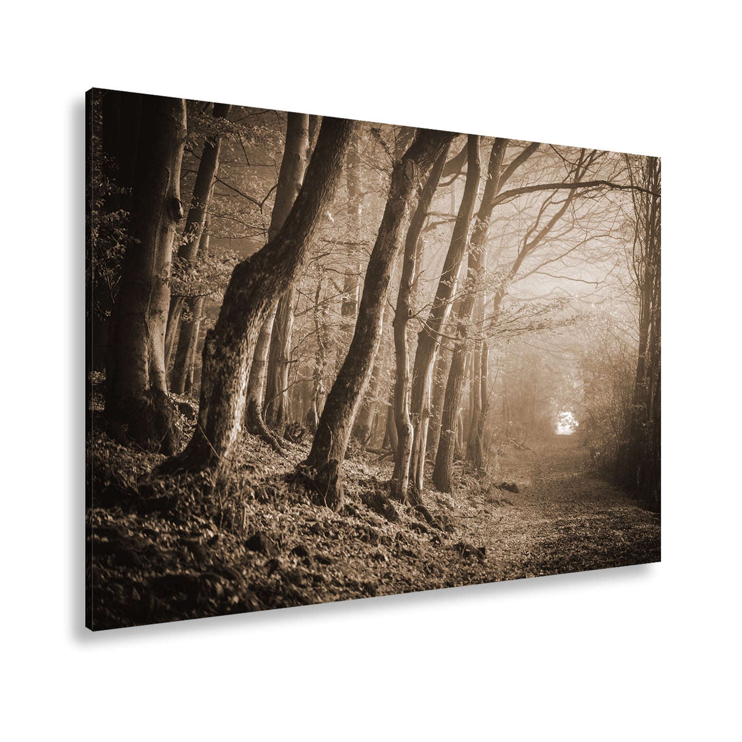 Hauptbild Sepia Standart