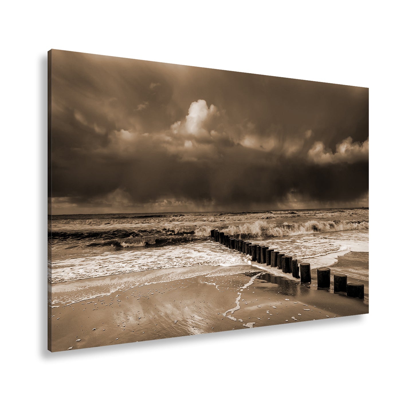 Hauptbild Sepia Standart