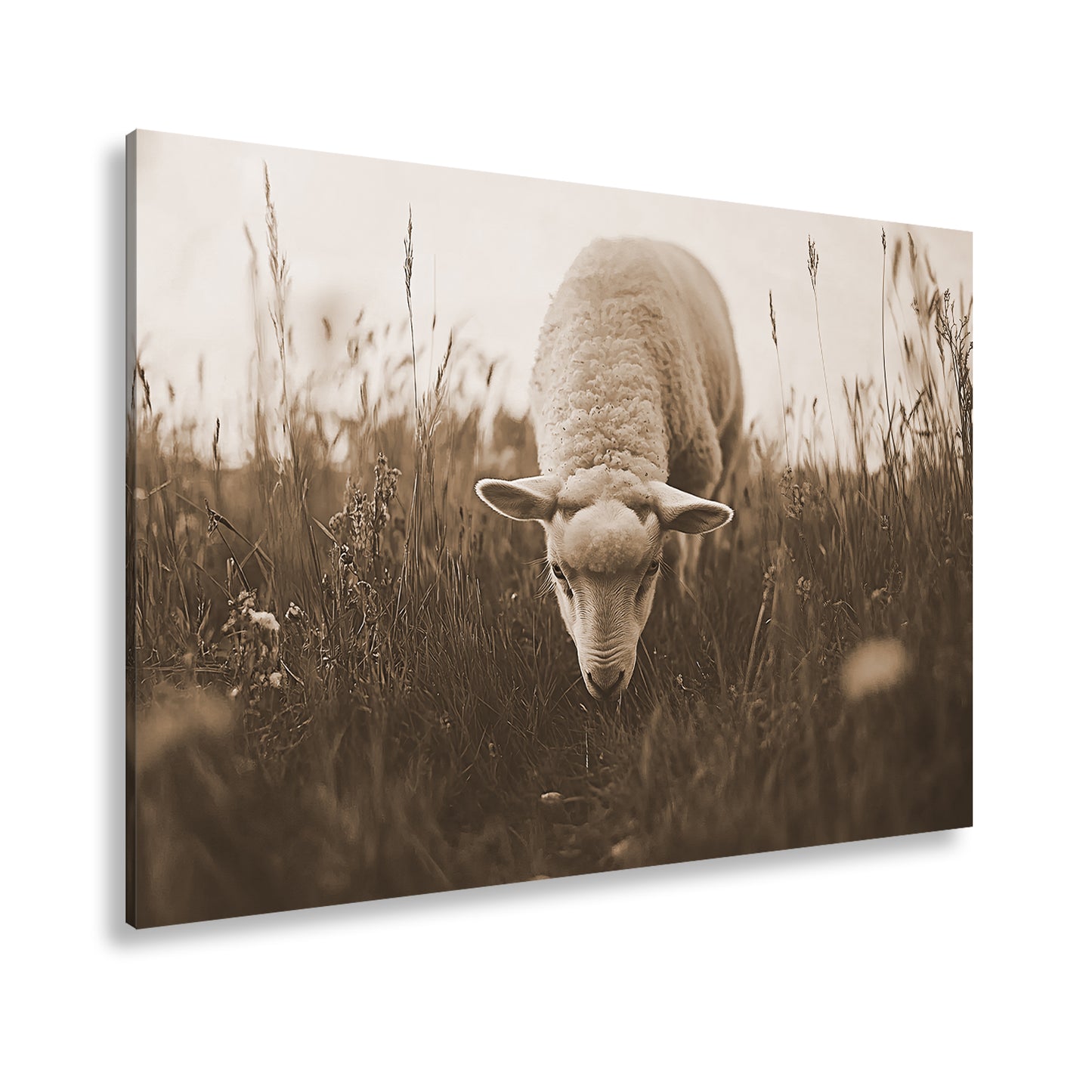 Hauptbild Sepia Standart