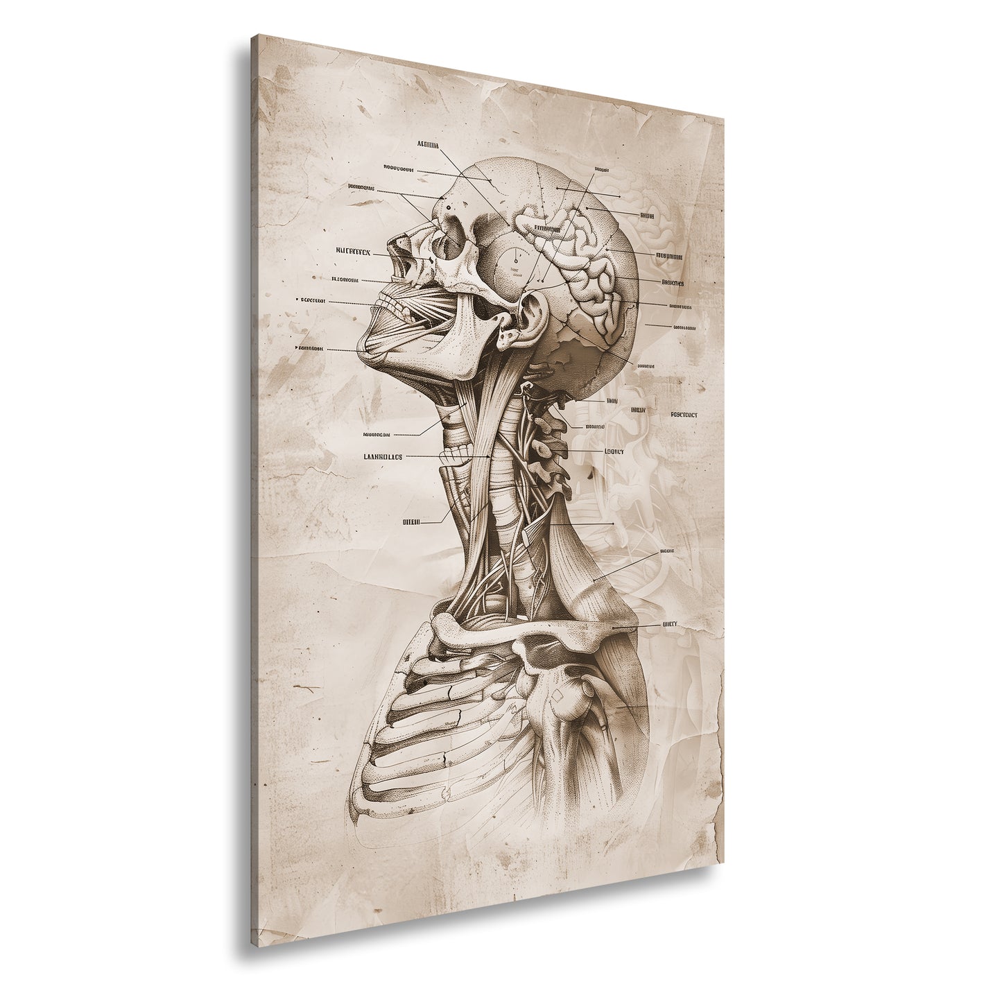 Hauptbild Sepia Standart