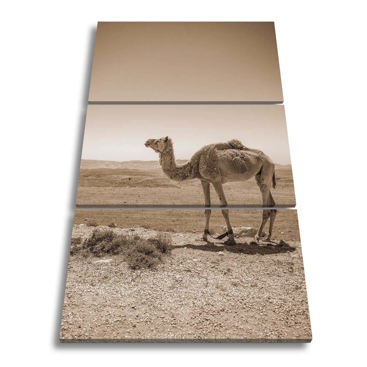 Hauptbild Sepia 3 Teilig