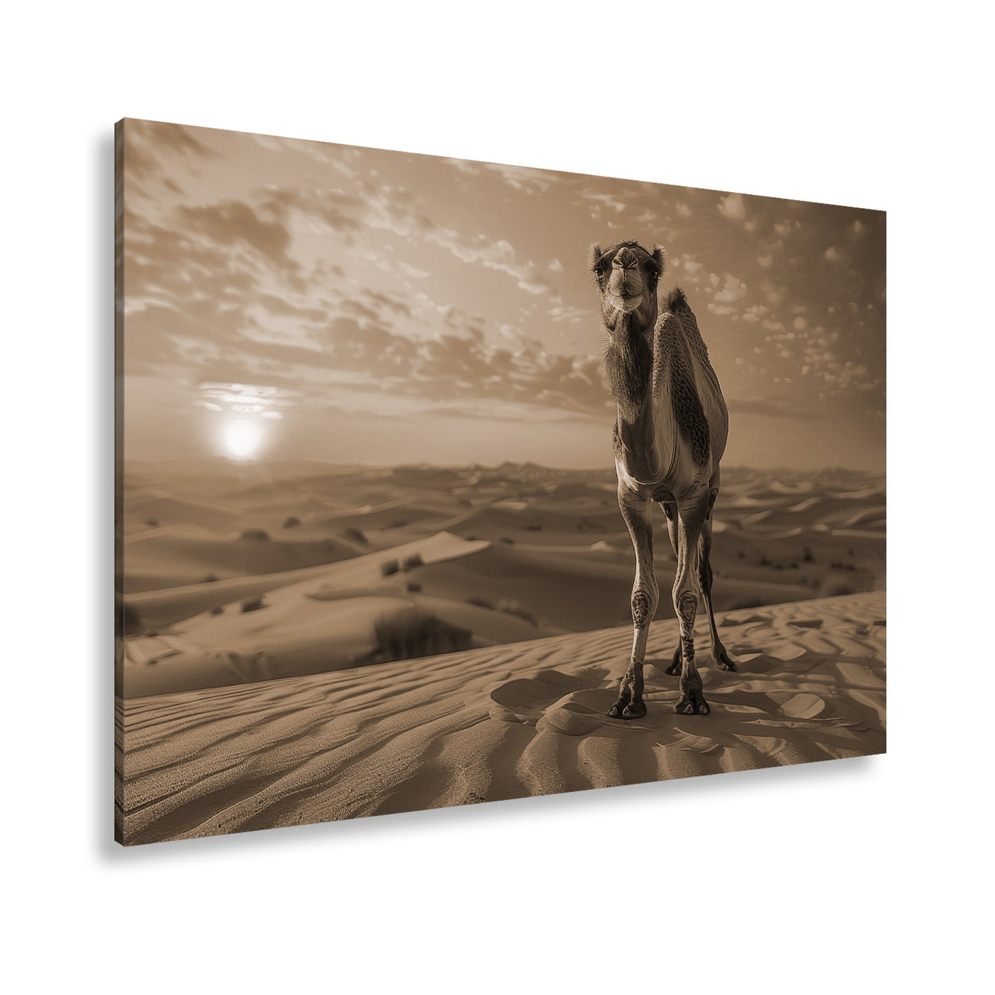 Hauptbild Sepia Standart