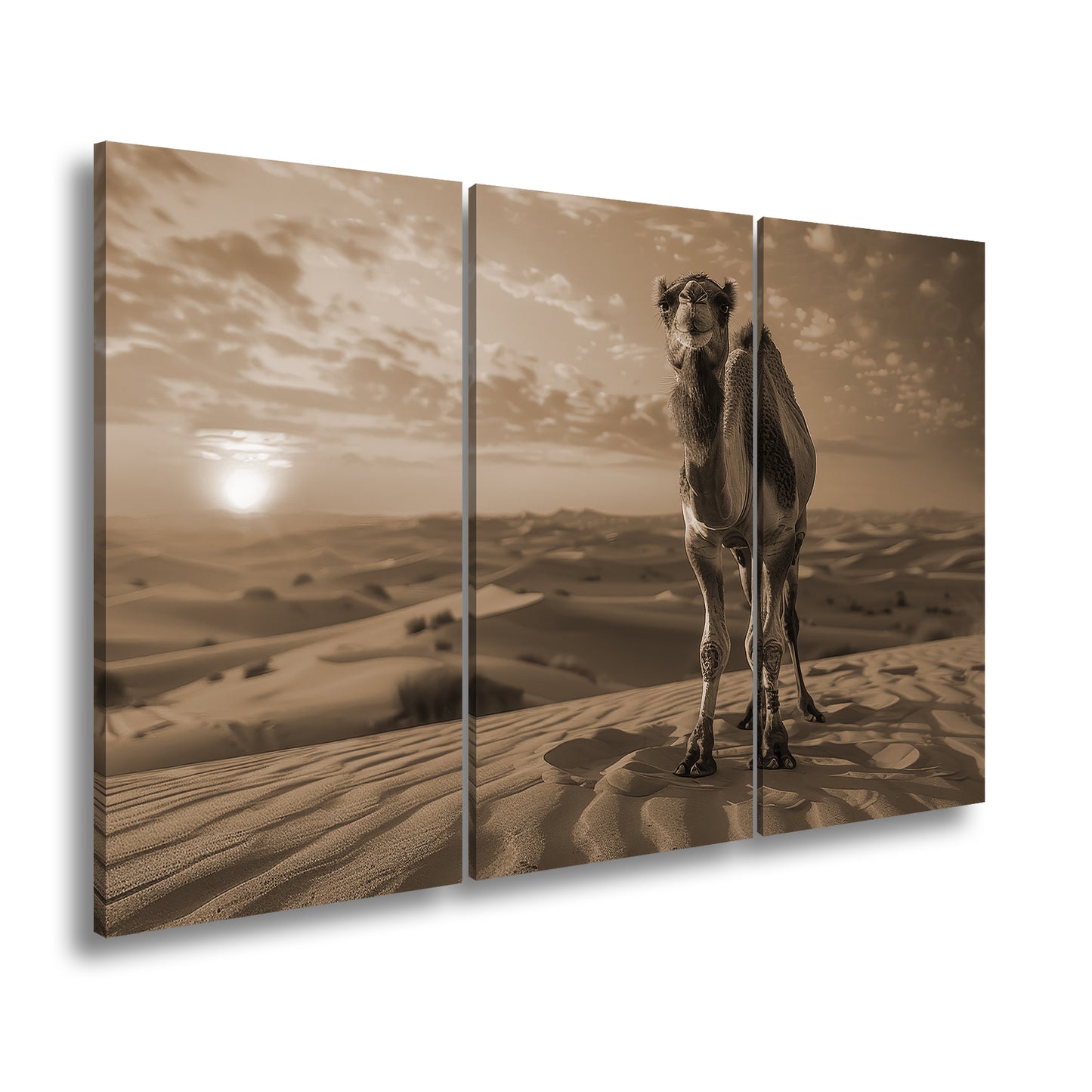Hauptbild Sepia 3 Teilig