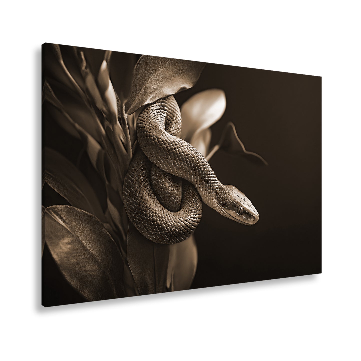Hauptbild Sepia Standart