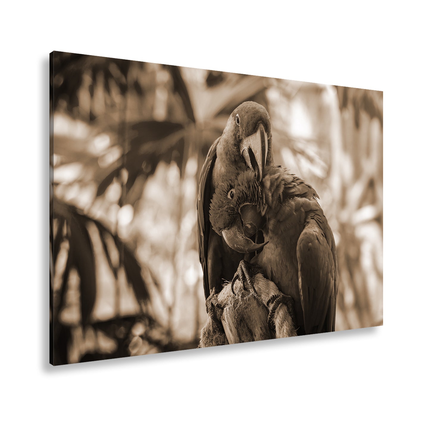 Hauptbild Sepia Standart