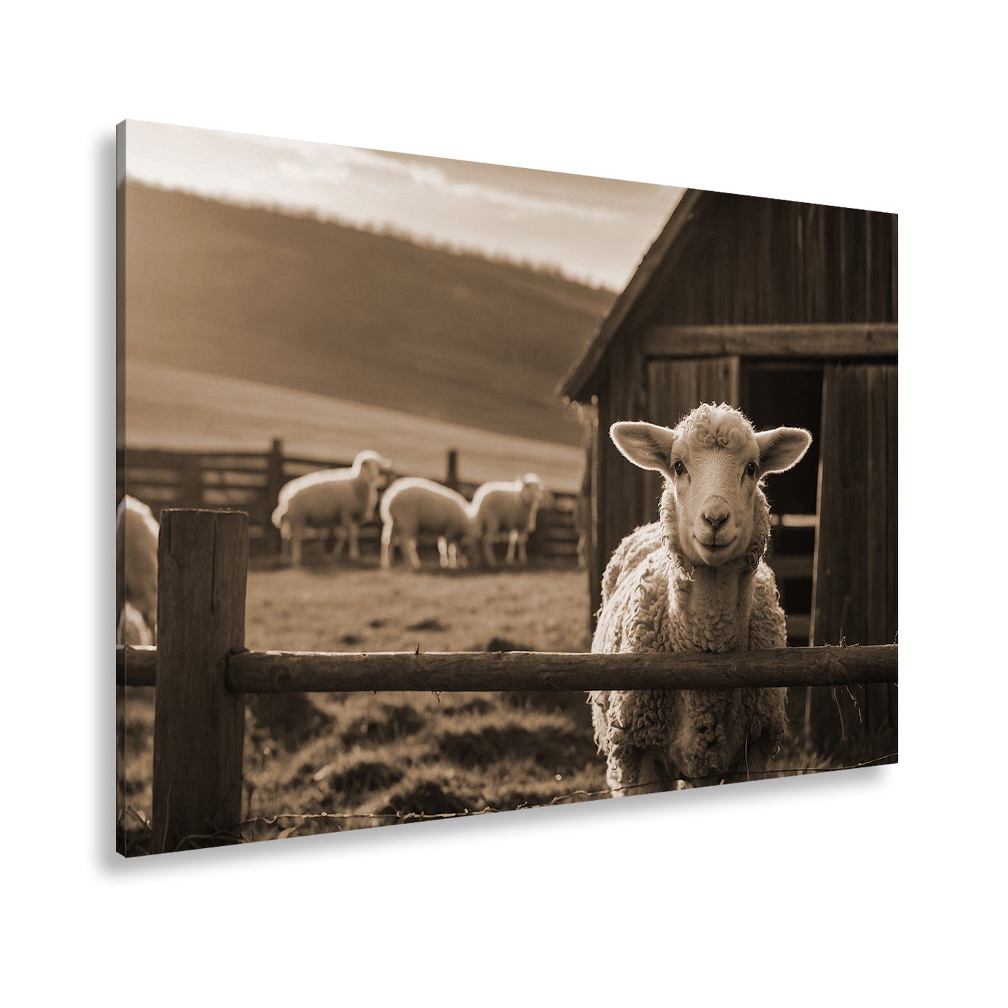 Hauptbild Sepia Standart