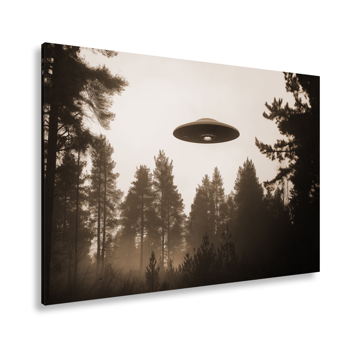 Hauptbild Sepia Standart