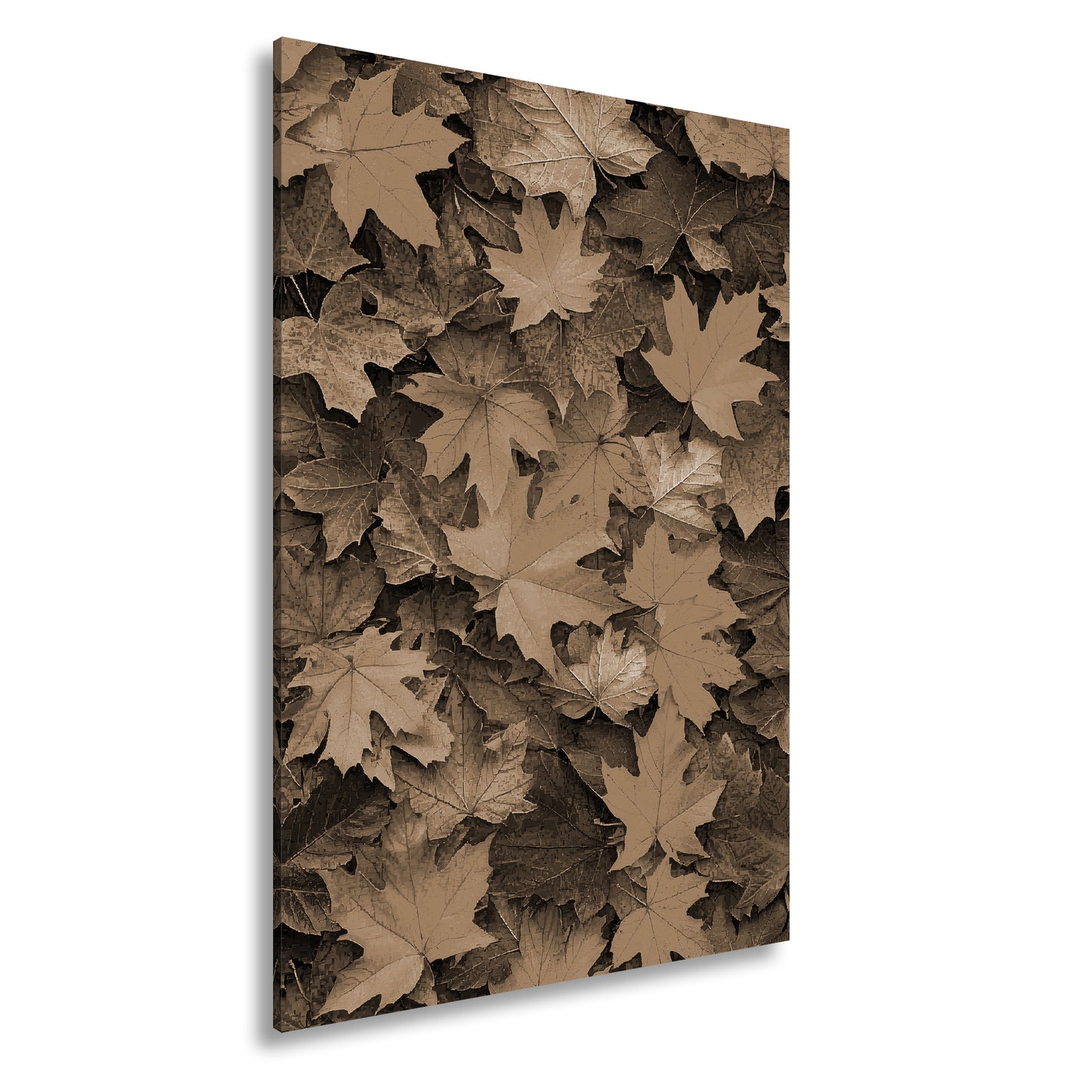 Hauptbild Sepia Standart