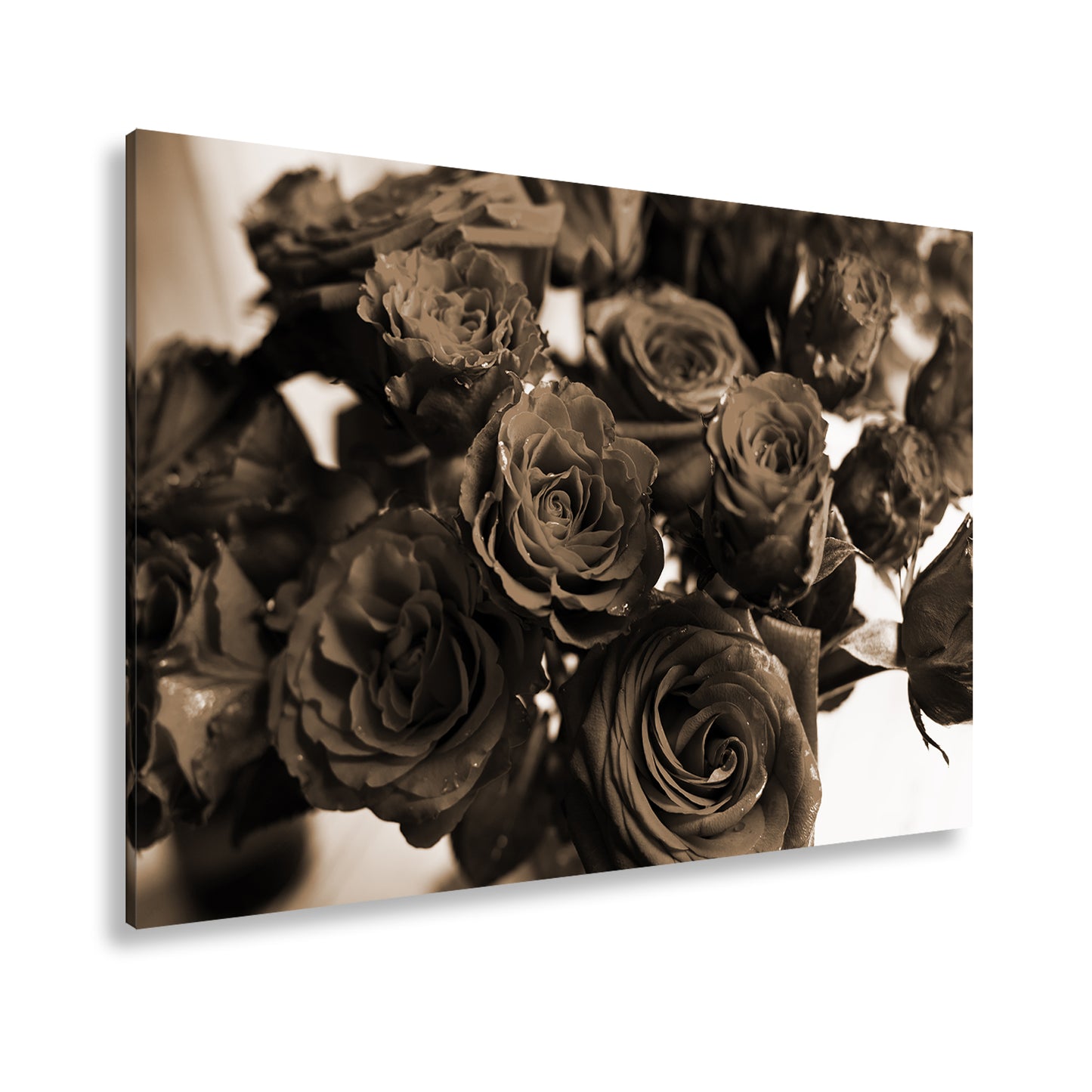 Hauptbild Sepia Standart