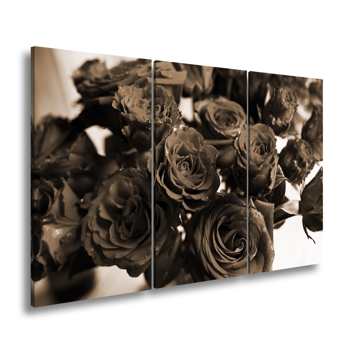 Hauptbild Sepia 3 Teilig