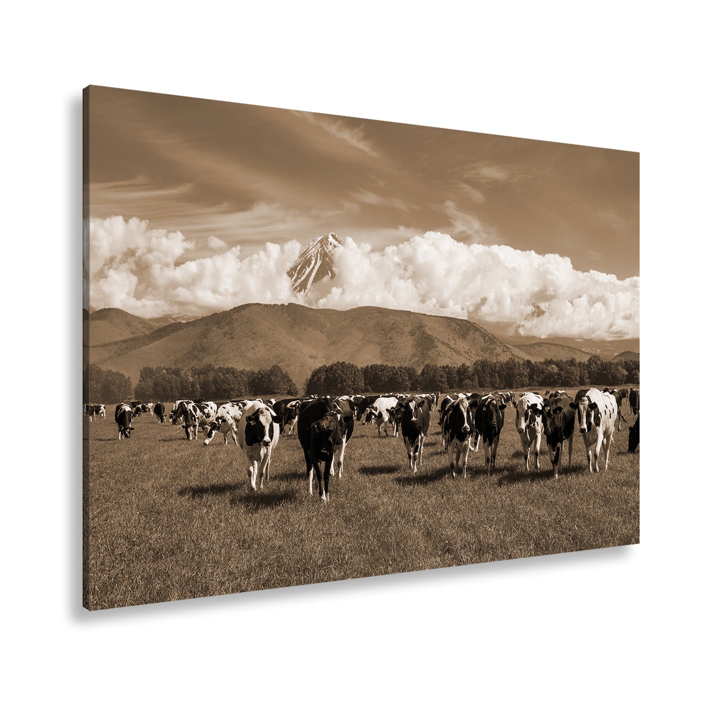 Hauptbild Sepia Standart
