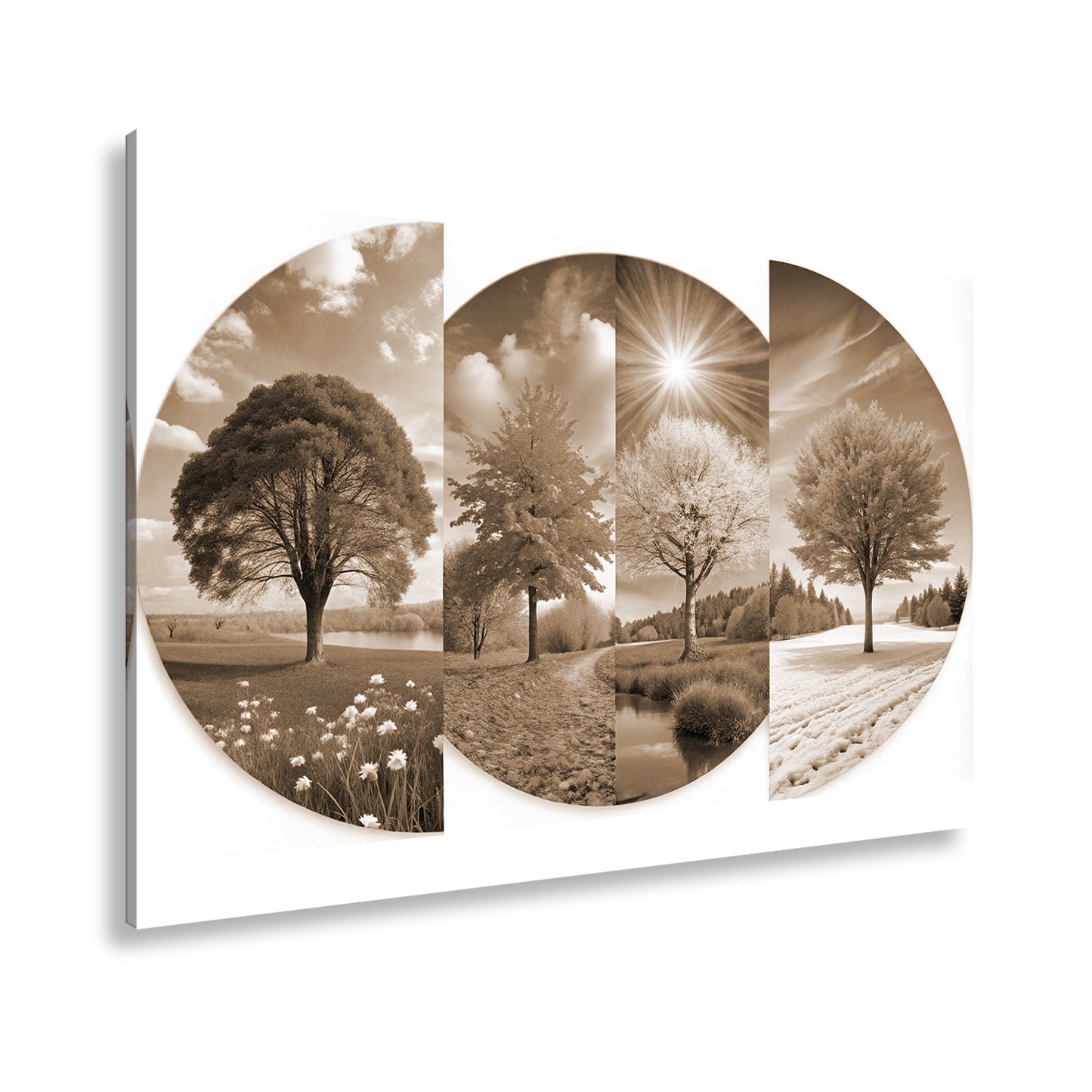 Hauptbild Sepia Standart
