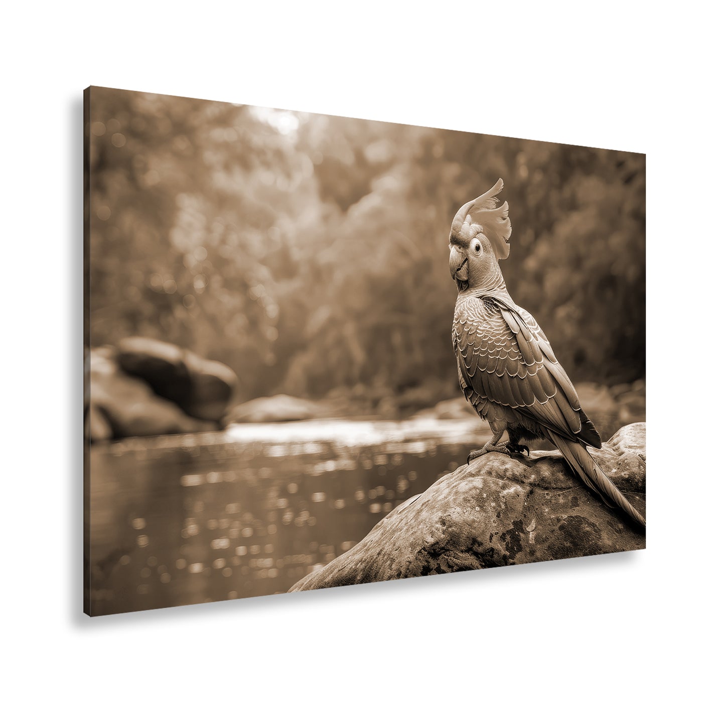 Hauptbild Sepia Standart