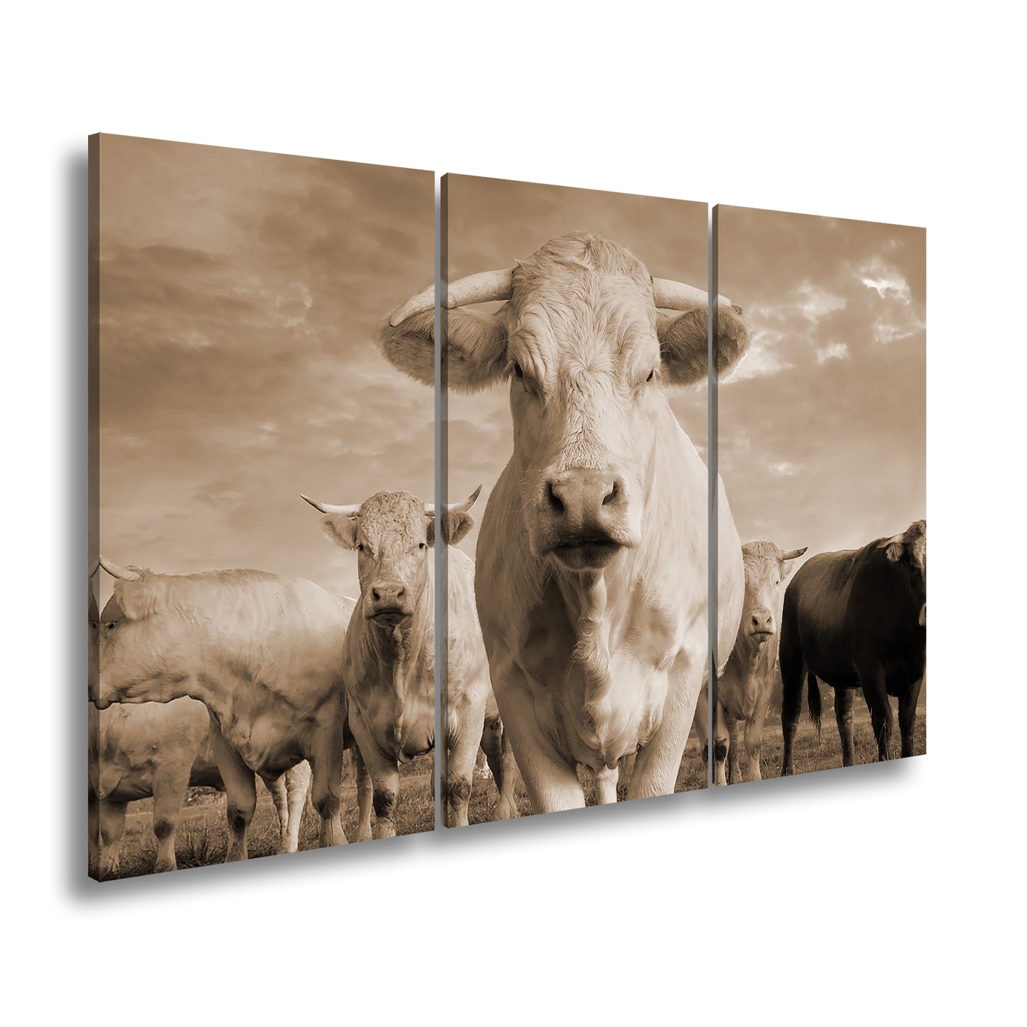 Hauptbild Sepia 3 Teilig