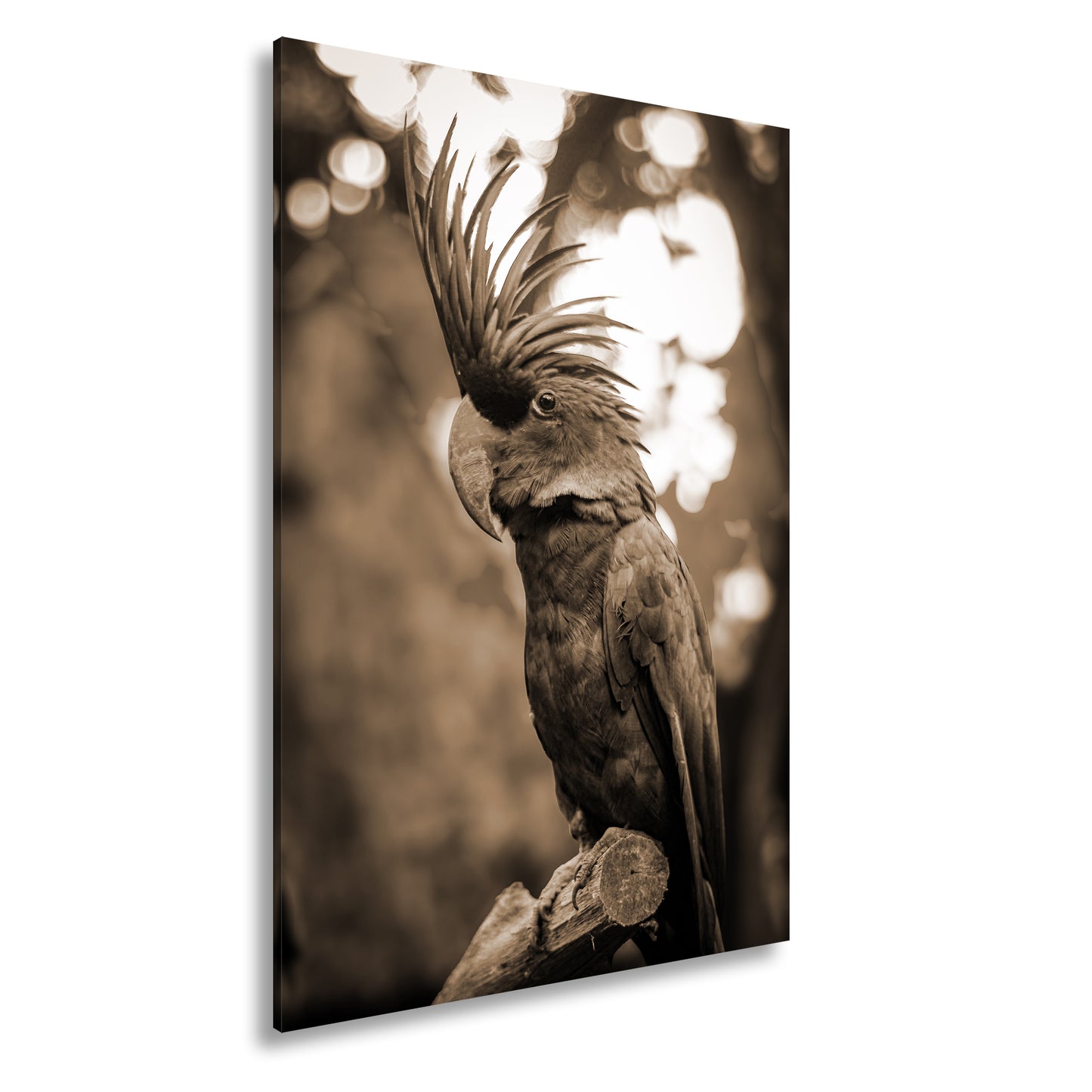 Hauptbild Sepia Standart