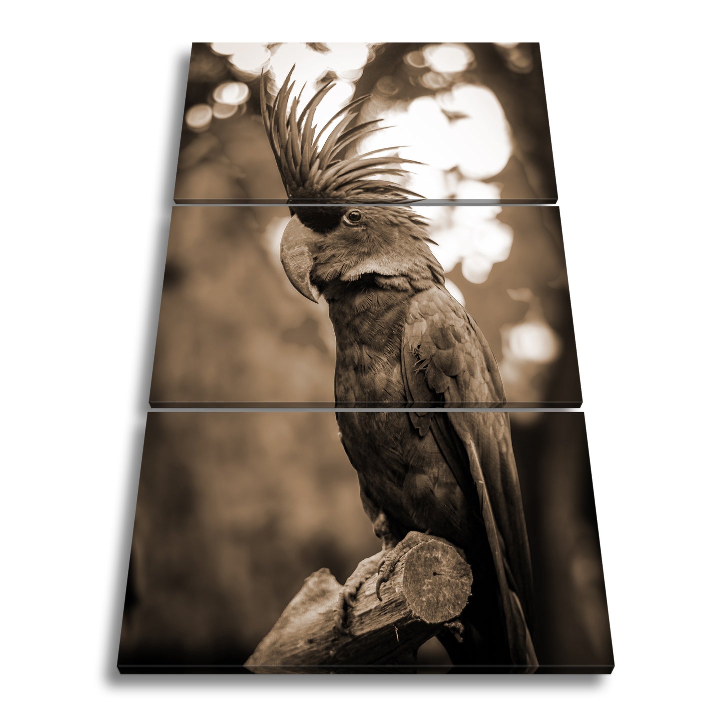Hauptbild Sepia 3 Teilig