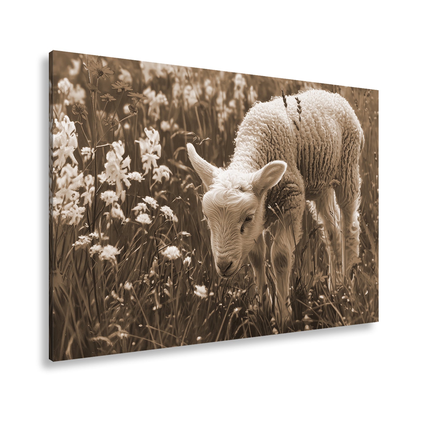 Hauptbild Sepia Standart
