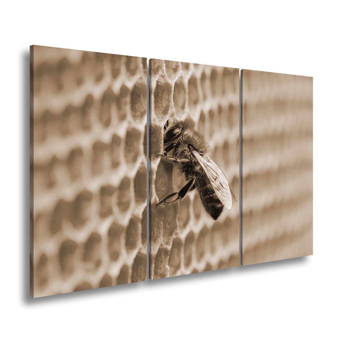 Hauptbild Sepia 3 Teilig